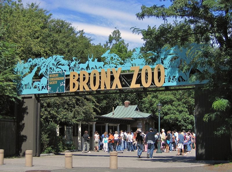 Daniel Tiger's Neighborhood at the Bronx Zoo 1